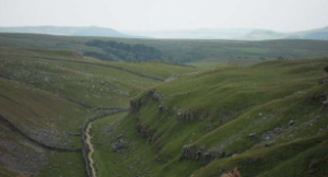 Macaulay Prize Winner 2010